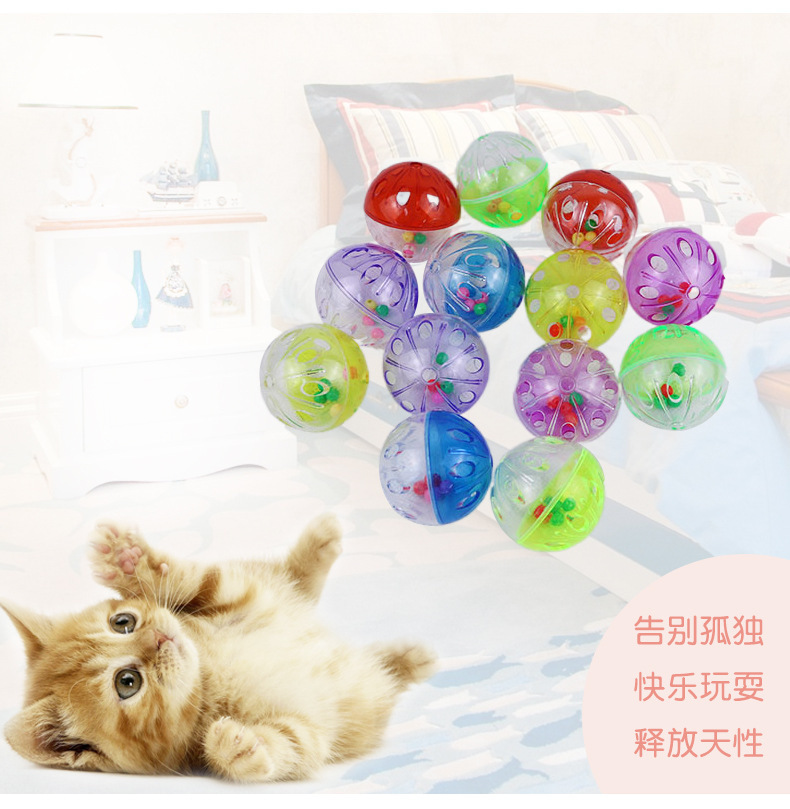 塑料透明菊花球 双色镂空铃铛球 猫咪玩具 宠物互动逗猫玩具