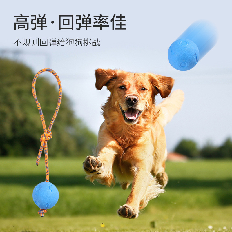 Pet toys for relieving boredom, grinding teeth and cleaning teeth. Dog gnawing toys. High-elasticity and durable solid pet toy balls with ropes