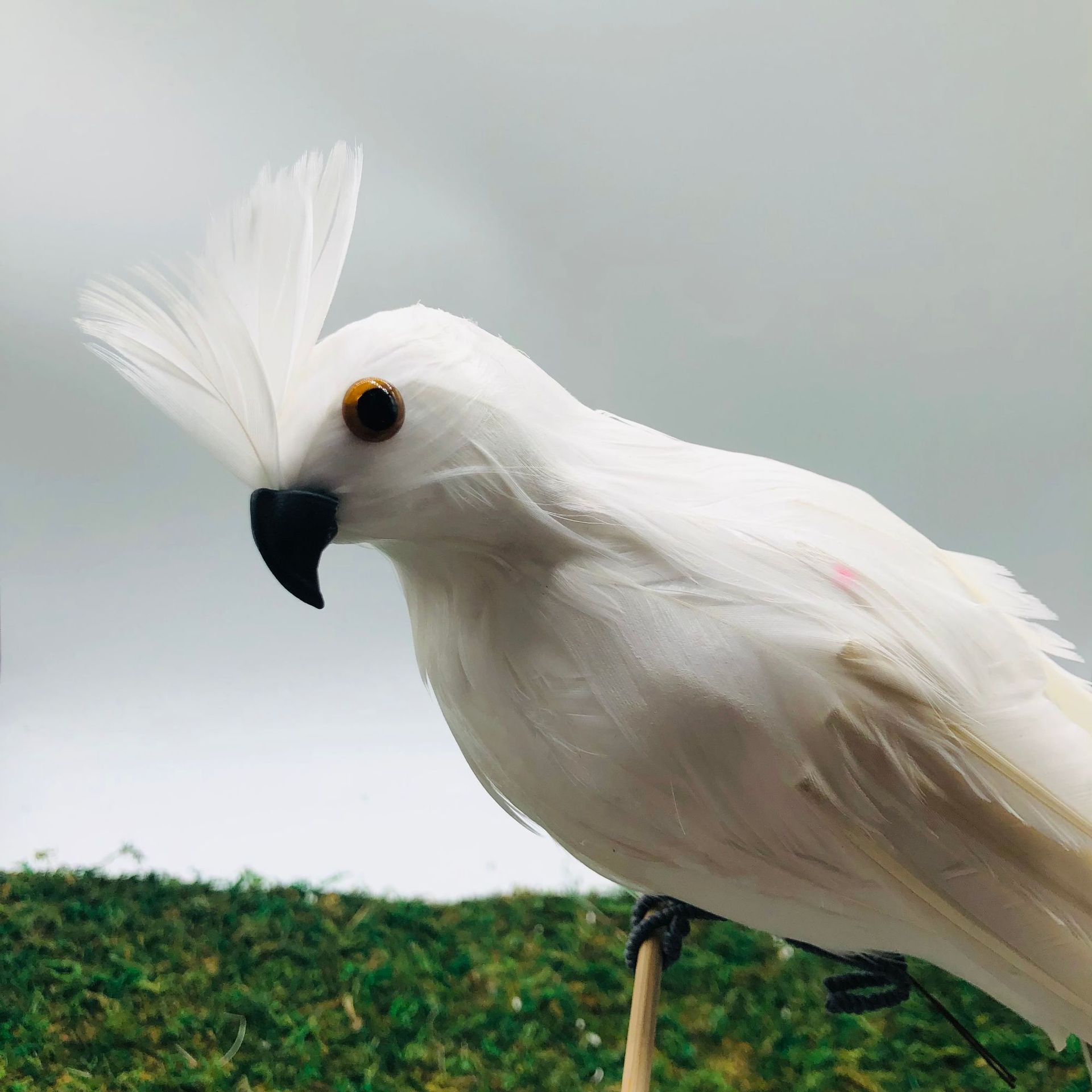 Source Factory Supply Simulation Parrot Macaw Simulation Bird Bird Eggs Feather Parrot Garden Decoration Parrot Specification drawing