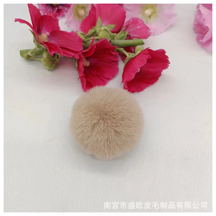 毛球实物图