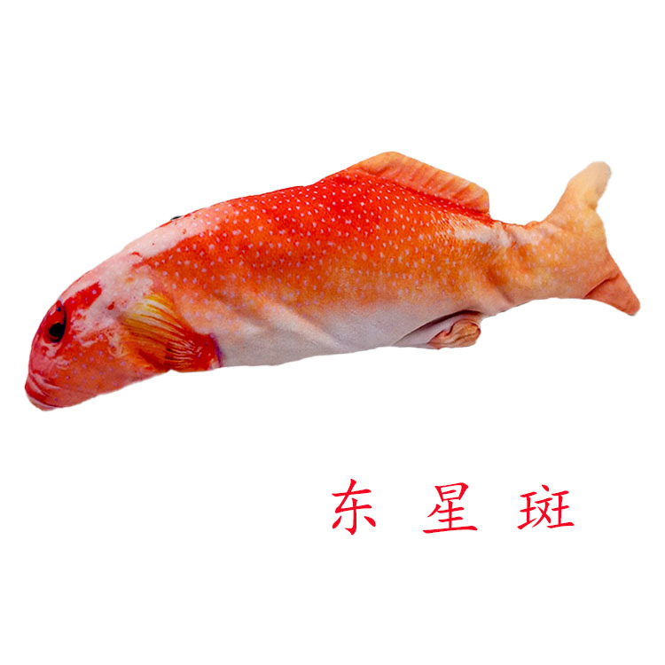 Douyin the same electric fish simulation fish teaser cat will jump fish teaser cat pet toy USB charging net red fish Item Picture