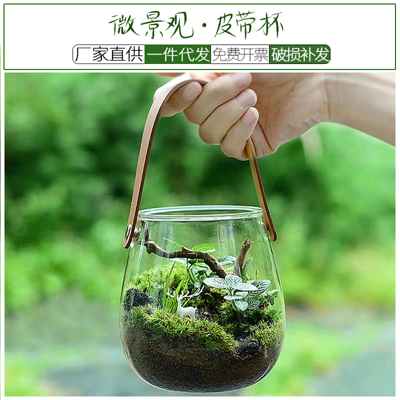 创意皮革手提玻璃生态花瓶杯微景观水培植物花器干花工艺创意家居