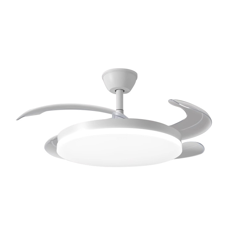 import白底实物图