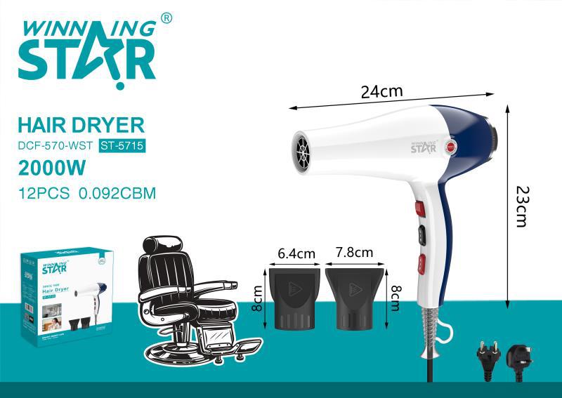 Winning Star Cross-border 220V European and British standard quick-drying high-power two-speed wind dryer with light for both hot and cold details Picture