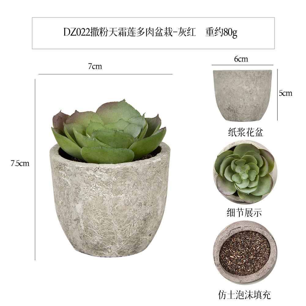 Amazon Simulation Succulent Pulp Pot 5-piece Home Decoration simulation Plant succulent bonsai set details Picture