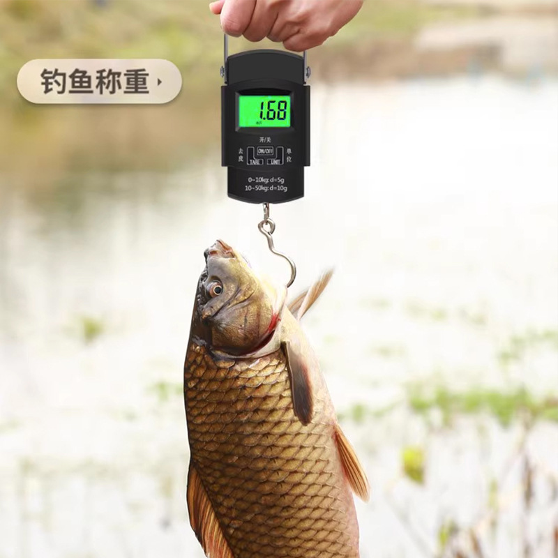 High-precision portable electronic scale, household small portable spring scale, small scale, luggage hook, hand-pulled hanging scale, fish device Specification image
