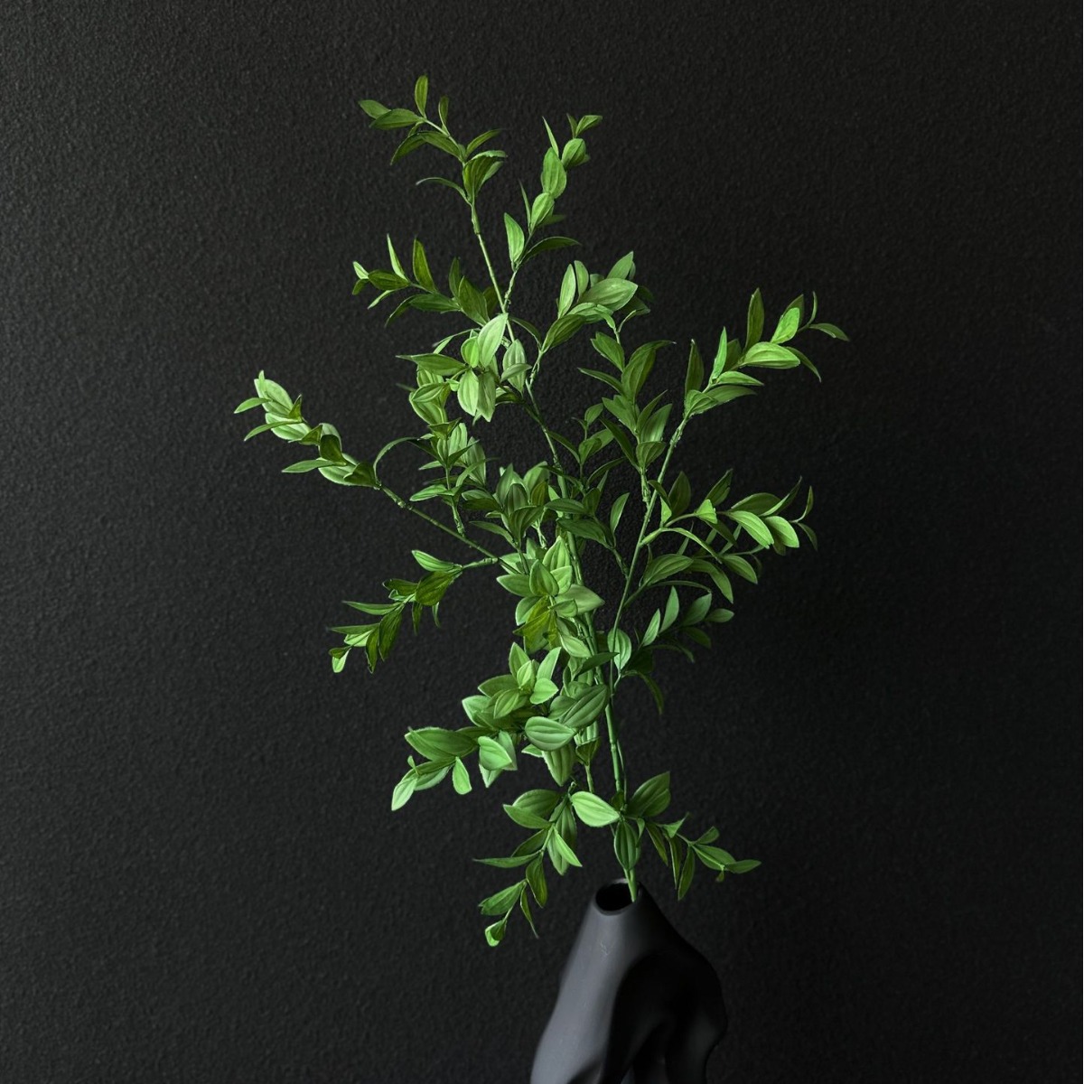 仿真植物实物图