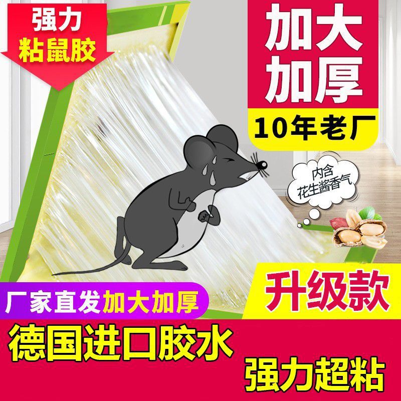 老鼠贴超强力粘鼠板抓大老鼠夹扑捉灭鼠胶沾正品家用捕鼠神器细节图
