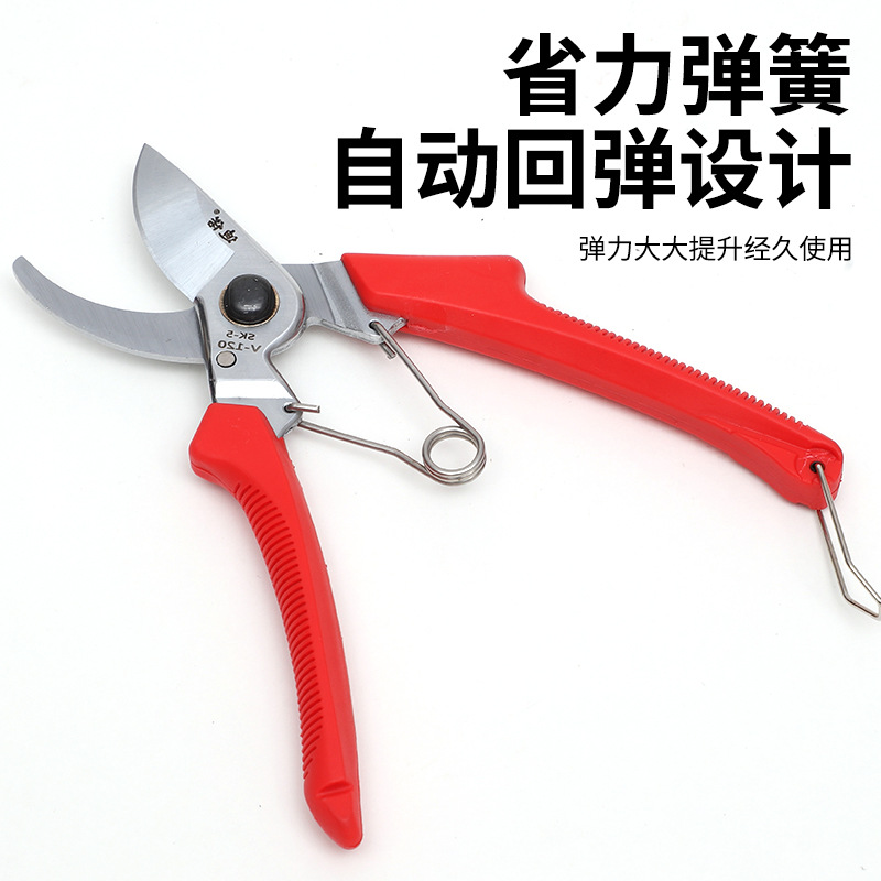 120修枝剪 厂家批发修树枝园林果枝剪园艺修枝剪园艺花园剪