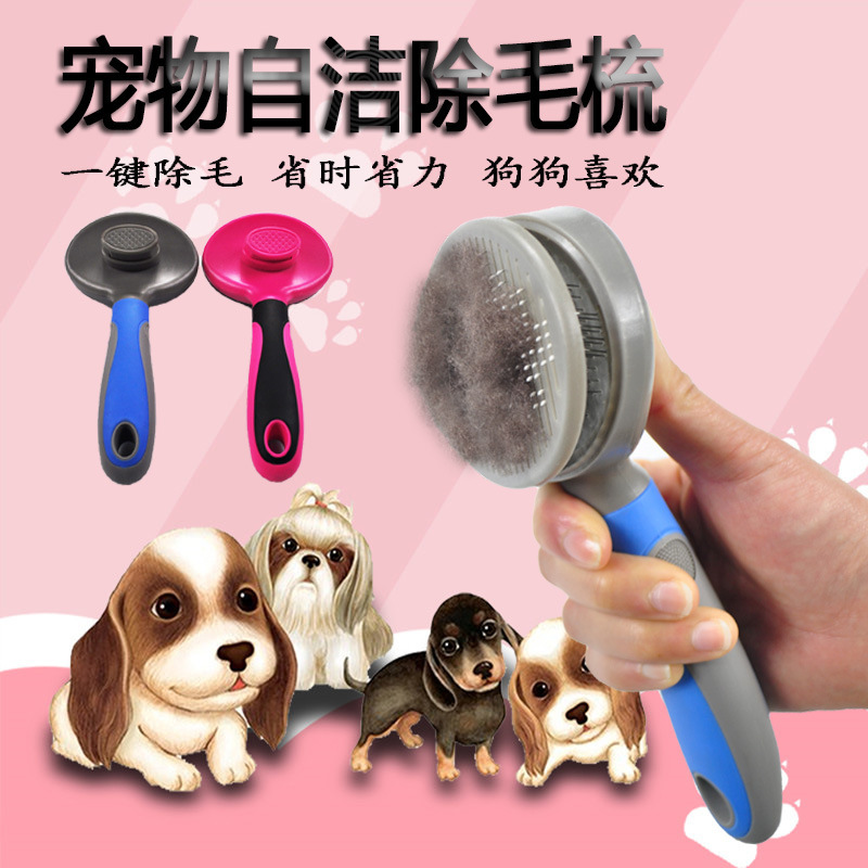 狗狗清洁美容工具实物图