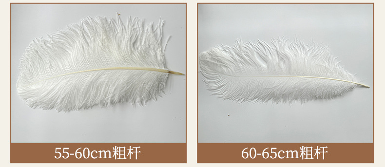 厂家直销15-80cm鸵鸟毛舞台布置真羽毛发夹装饰插花婚庆布置羽毛详情16