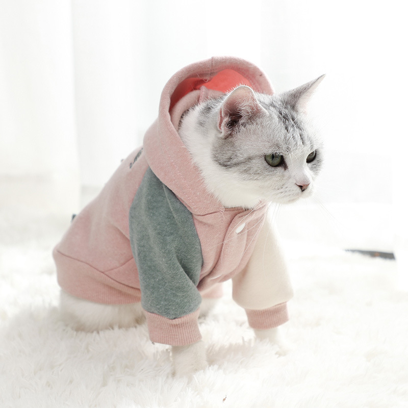宠物卫衣新款/宠物服饰/宠物外套细节图