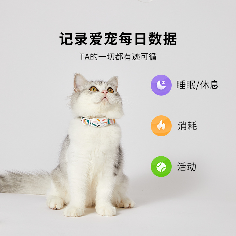 小pet佩宠产品图