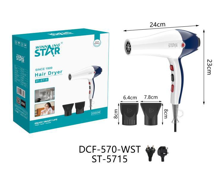 Winning Star Cross-border 220V European and British standard quick-drying high-power two-speed wind dryer with light for both hot and cold
