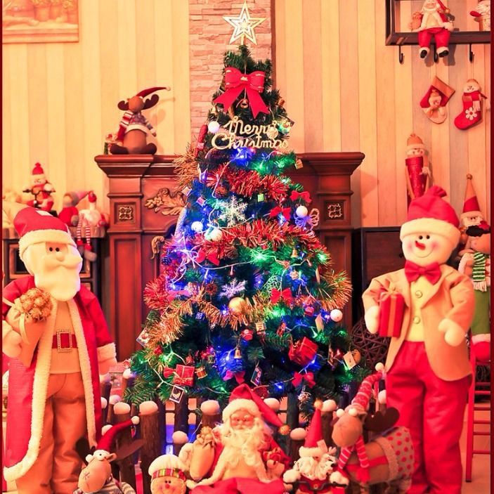 New Encryption Christmas Tree Package 1.5M 1.8/2.1M Shopping Mall Home Christmas Tree Set Family With Light Tree Specification drawing