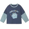 Amira Children's Clothing's new autumn collection for 24: Boys' T-shirts for children's leave. Two long-sleeved shirts paired with color-blocked printed tops are trendy Item Picture