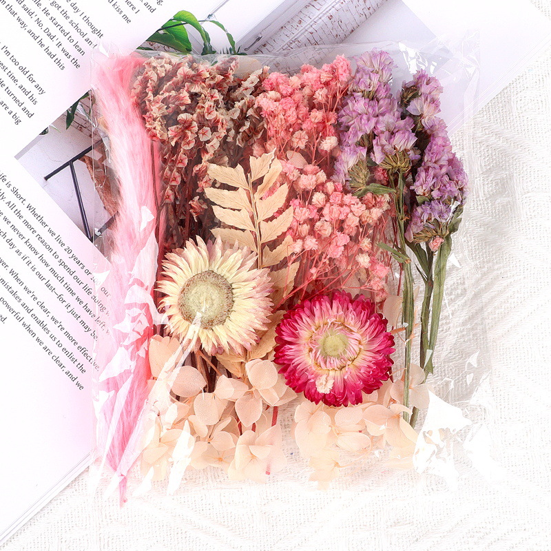 其他分类实物图