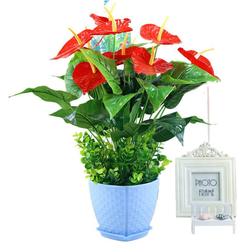 仿真花/永生花/多肉仿真花/假花/教师节白底实物图