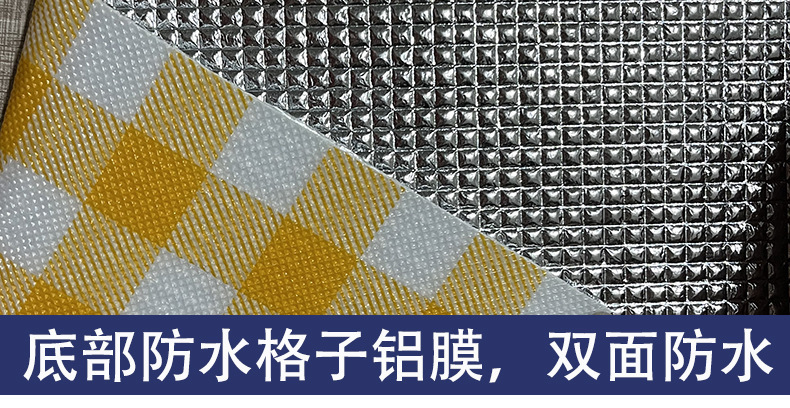 春游户外野餐垫用品沙滩帐篷垫野营子抖音网红防潮垫郊游便携布详情4