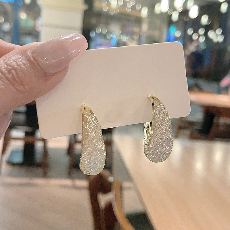 Cross-border European and American round mesh zircon earrings, ins trendy and fashionable personalized circle light luxury style earrings details Picture