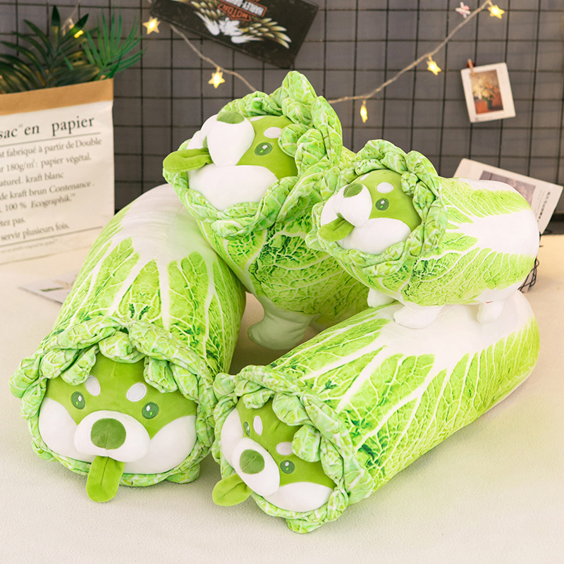 Wholesale of creative cartoon vegetable dog dolls, cabbage dog cushions and plush toys of the same style as those on Xiaohongshu Application Scenario