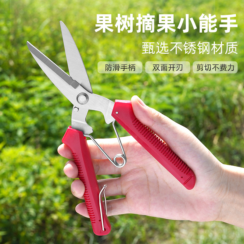 摘果剪强力修枝剪子蔬果采摘剪子园林稀果摘果剪葡萄修枝专用剪刀