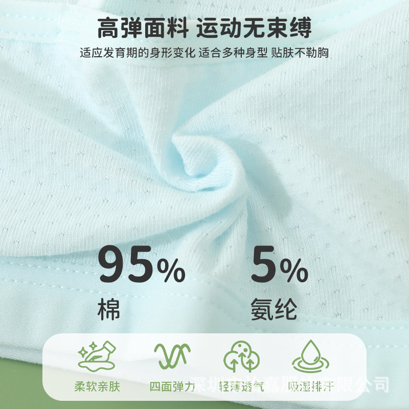 Girls' underwear for the first stage of development, primary school students, older children, girls, anti-protrusion, thin 12-year-old girl vest Application Scenario