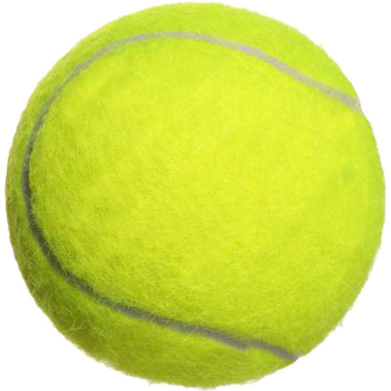 网球高弹性初学者耐打训练耐磨初中级比赛按摩玩具宠物球一件批发图