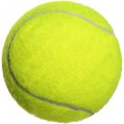 网球高弹性初学者耐打训练耐磨初中级比赛按摩玩具宠物球一件批发