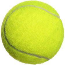网球高弹性初学者耐打训练耐磨初中级比赛按摩玩具宠物球一件批发