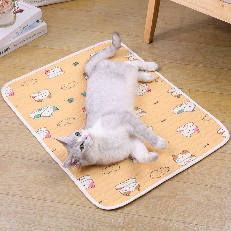 Pet summer cooling latex pads, dog pads, cat sleeping pads, dog bed ice silk cooling pads, ice pads, pet supplies Application Scenario