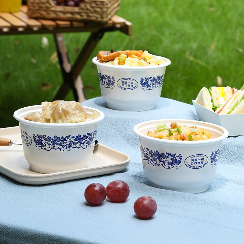 美丽雅一次性碗食品级家用户外野餐烧烤餐具圆形外卖打包快餐盒