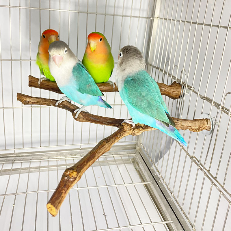 Bird grape wood station rod station rod bird perch cross border explosive bird cage accessories parrot station rod factory direct spot