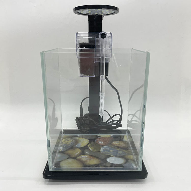 Ecological bottle micro-landscape, small office desktop, fish tank landscaping, fighting fish, glass tank, aquarium living room creativity Application Scenario