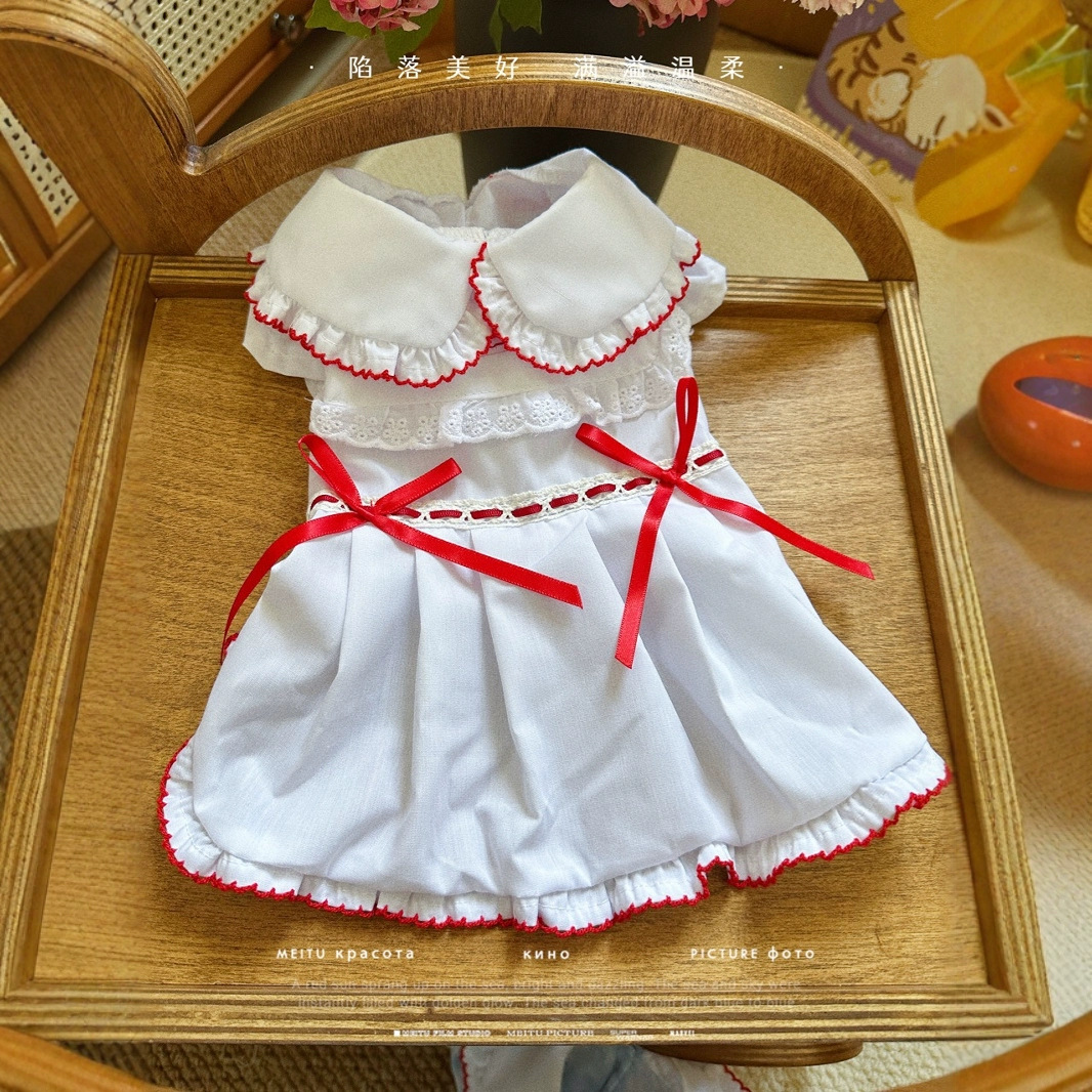 狗狗服装实物图