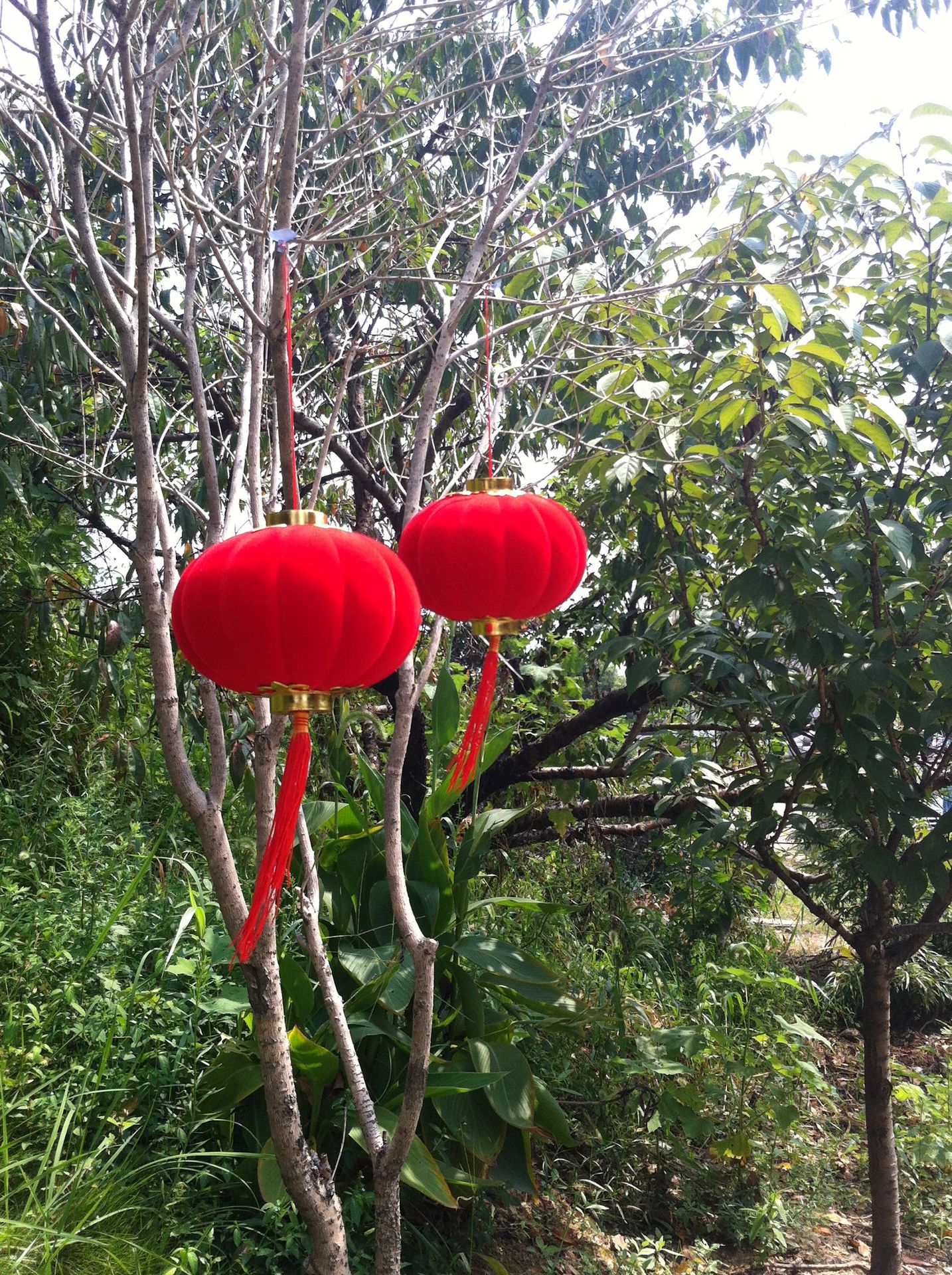 20号4个//舞蹈道具灯笼/喜庆节日活动白底实物图