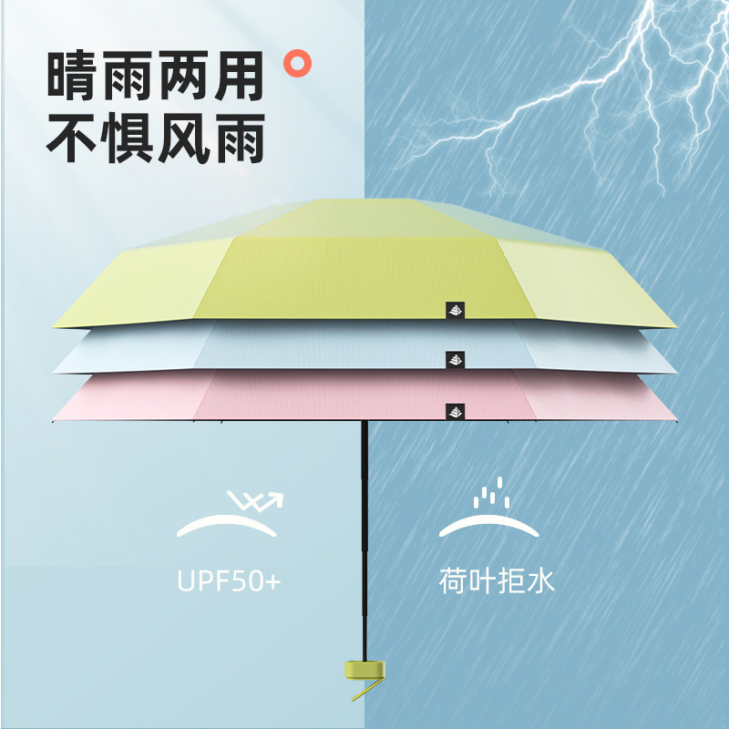 import细节图