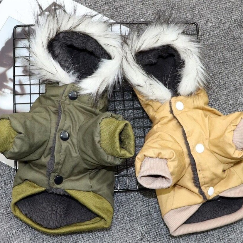 New autumn and winter pet dog workwear, cotton-padded jacket with fleece collar, mountaineering suit, small dog winter clothing and warm cotton-padded jacket details Picture