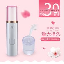 Multi-functional charging treasure water face steamer