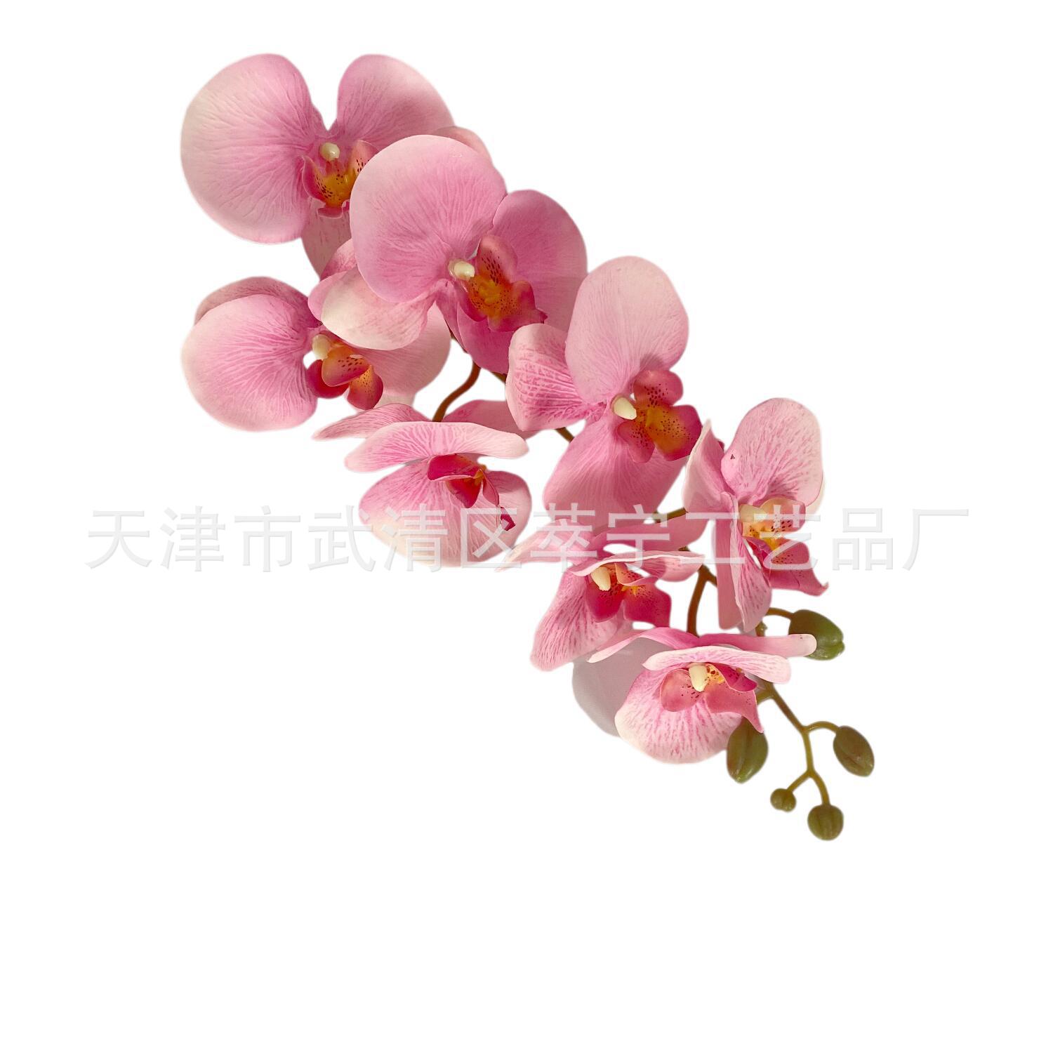 8 Head Display Pattern Peach Velvet Phalaenopsis Simulation Flower Wedding Flower Arrangement Home Decoration Living Room Decoration Accessories Cross-Border Manufacturers Item Picture