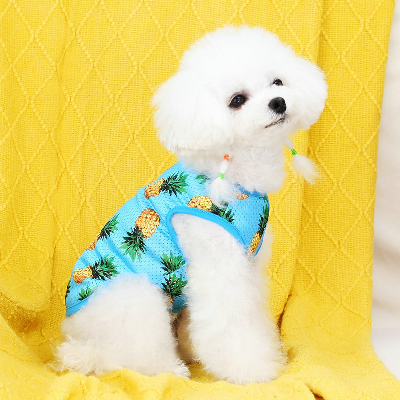 Spring and summer pet clothes are comfortable and breathable. Summer pineapple mesh vest, dog clothing factory, teddy clothes Application Scenario