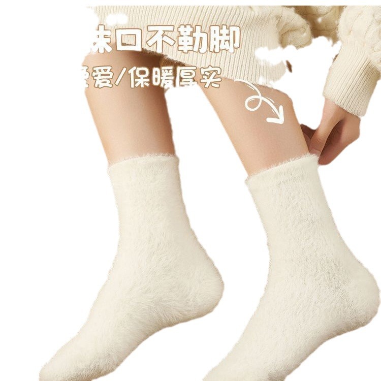 import白底实物图
