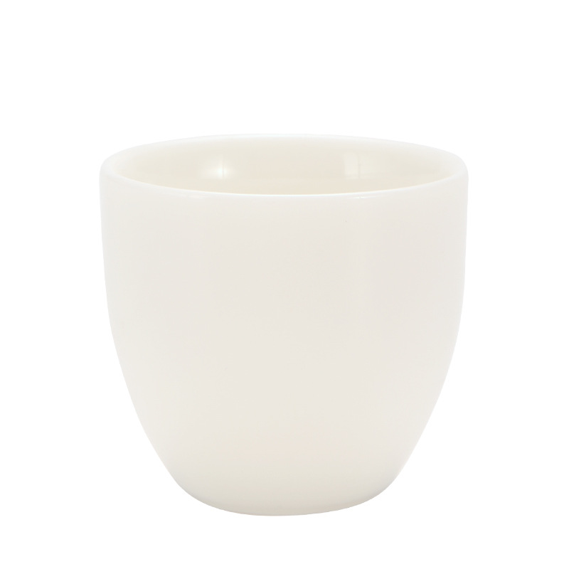 import白底实物图