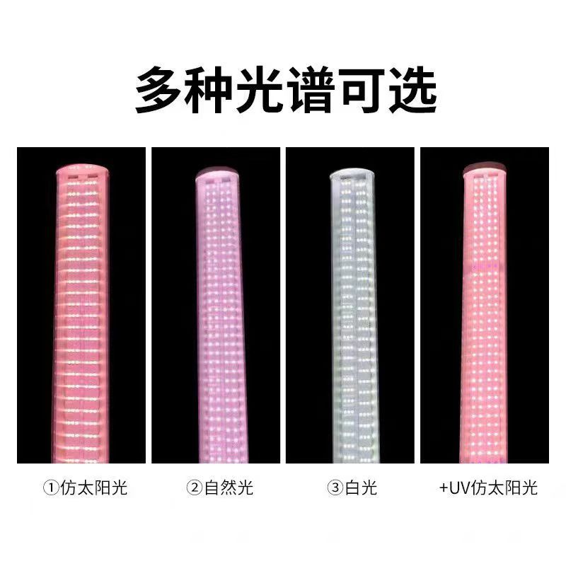 Full-spectrum cross-border flower greenhouse, household indoor succulent lamp, coloring and supplementary lighting lamp, T8LED plant lamp, growth lamp Specification image