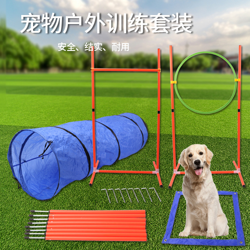 宠物训练钻圈架狗狗障碍训练杆宠物狗训练套圈扎地杆套圈宠物用品
