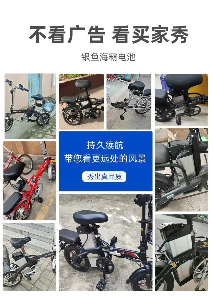 银鱼海霸代驾折叠电动车锂电池48V20AH三元大容量电池电工电气详情16