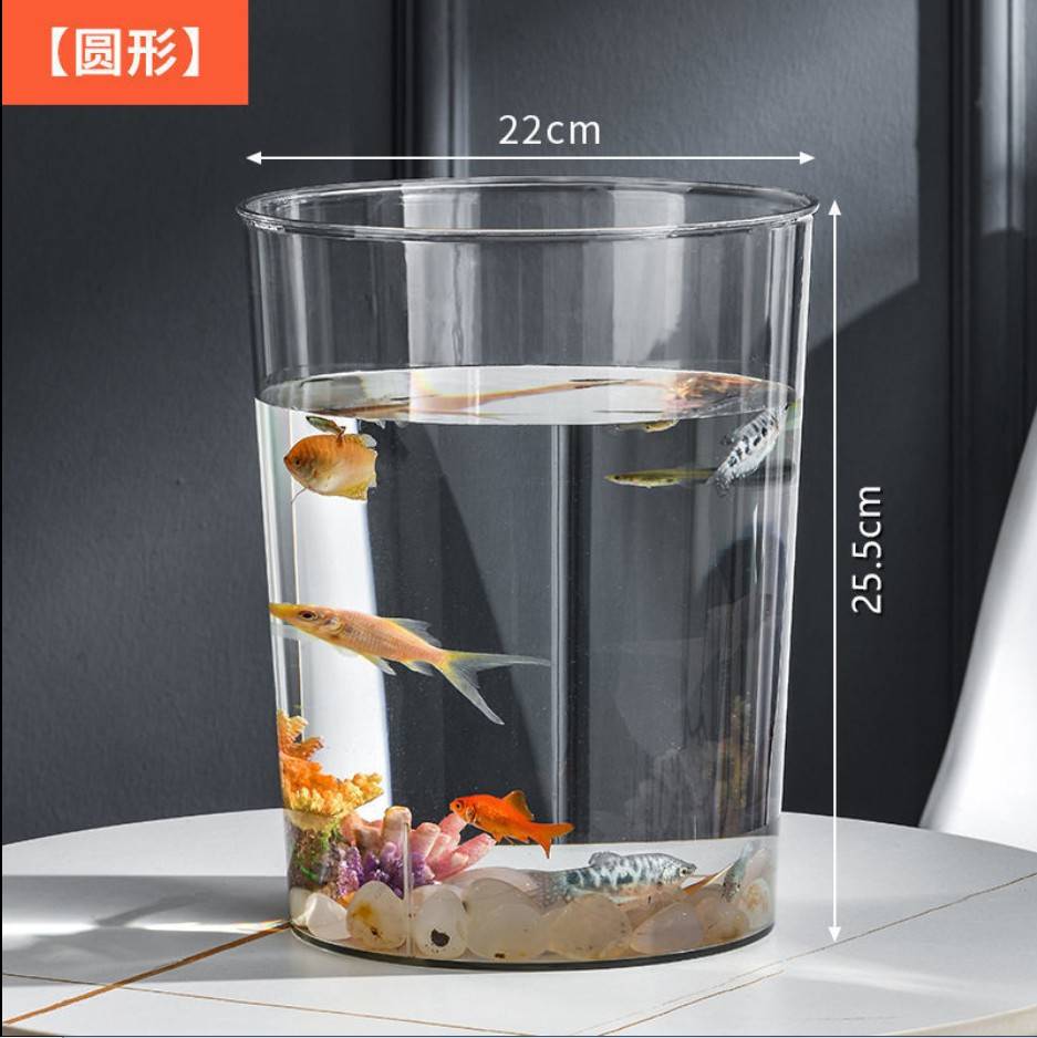 import白底实物图