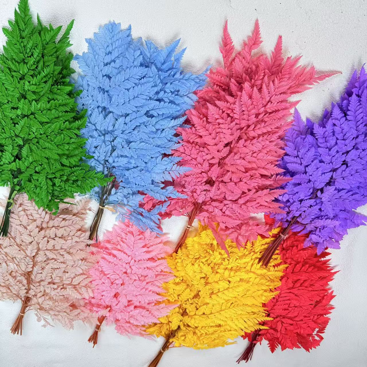 Flower's Yunnan factory directly supplies fresh flower and leaf materials, tall goat's tooth leaves, preserved flower accessories, and floral art preserved flower materials Specification image
