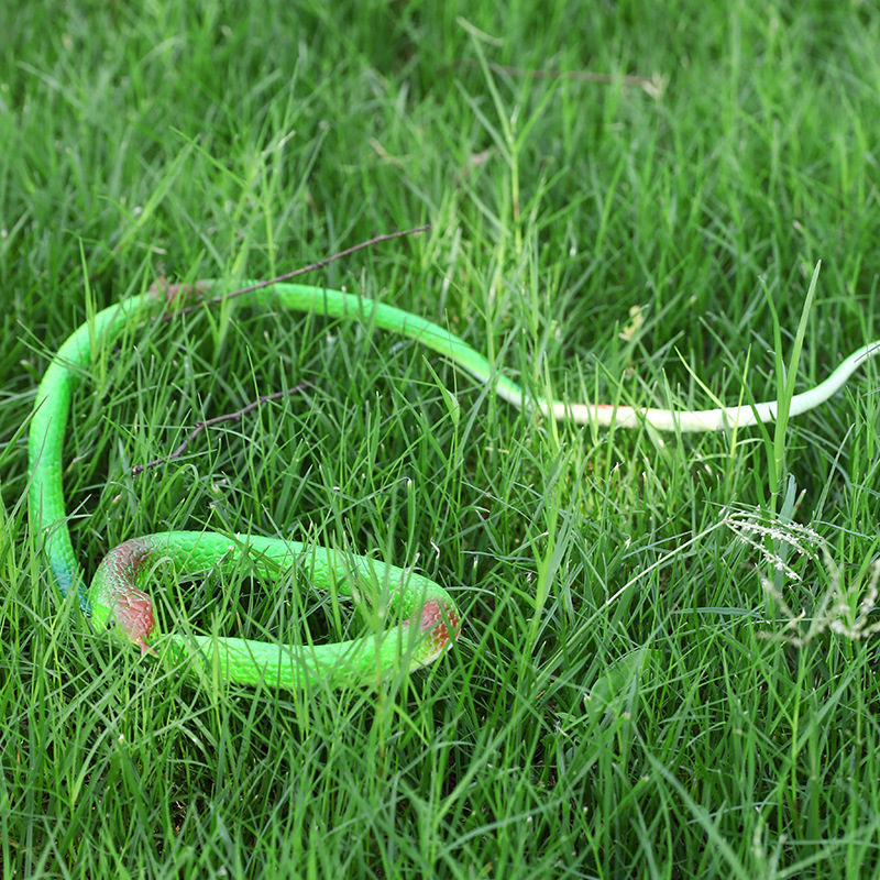 Factory wholesale 68cm eco-friendly rubber snake prank toys, soft rubber fake snakes, Halloween prank toy snakes Application Scenario