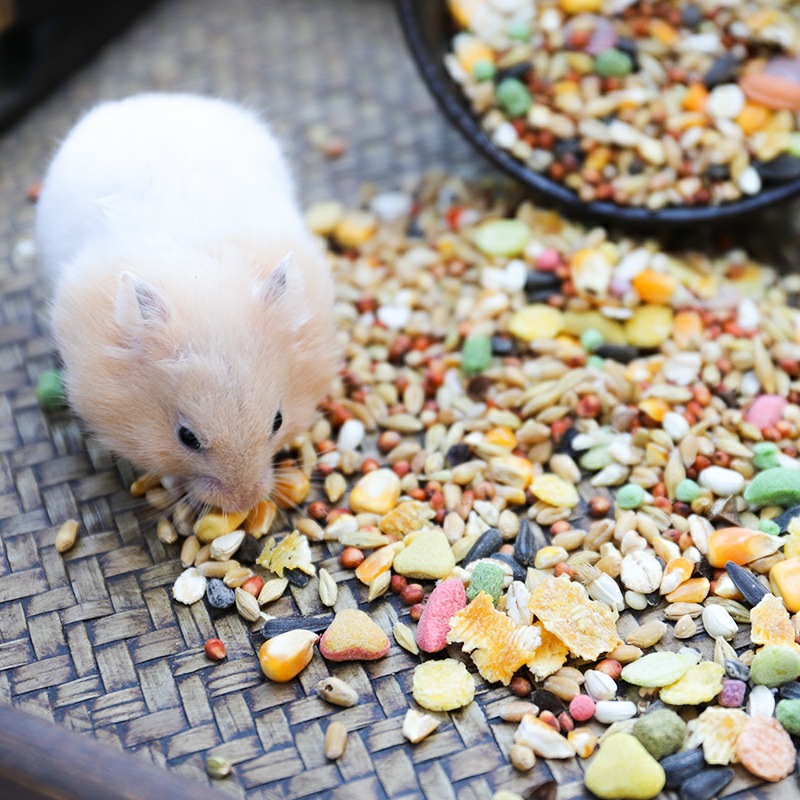 Bulk squirrel food Fruit food Seafood food hamster food Staple food snack pet pigeon food bird food bag warehouse food